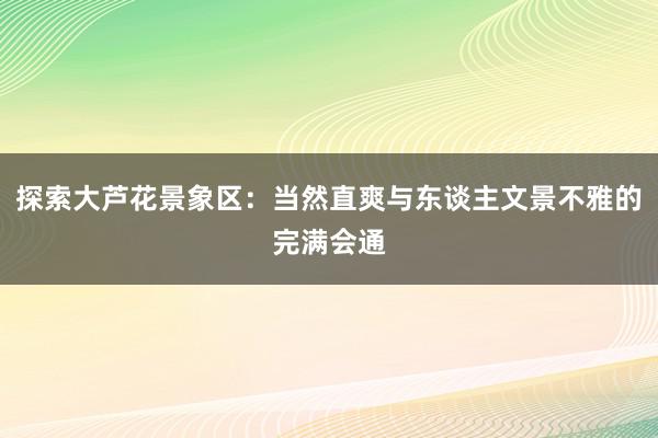 探索大芦花景象区：当然直爽与东谈主文景不雅的完满会通