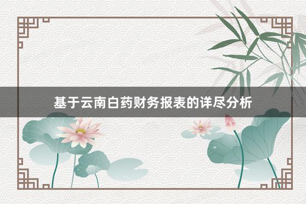 基于云南白药财务报表的详尽分析
